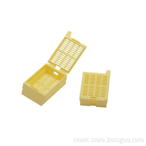 ISO Certified Disposable Plastic Embedding Cassettes with Round Strip or Square Holes for Tissue Processing